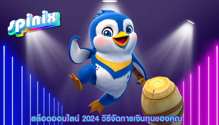 สล็อตออนไลน์ 2024 วิธีจัดการเงินทุนของคุณ